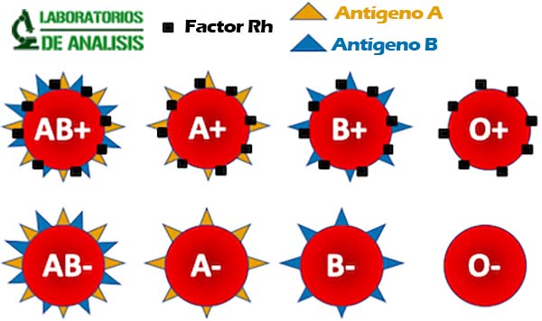 Antígenos sanguíneos