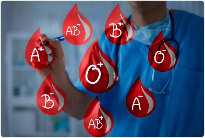 Grupo sanguineo y Rh. Tipos de sangre.